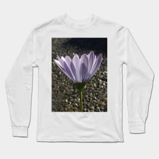 Lighting Up the African Daisy Long Sleeve T-Shirt